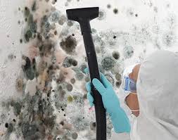 Best Mold Remediation for Healthcare Facilities in Cherryvale, SC